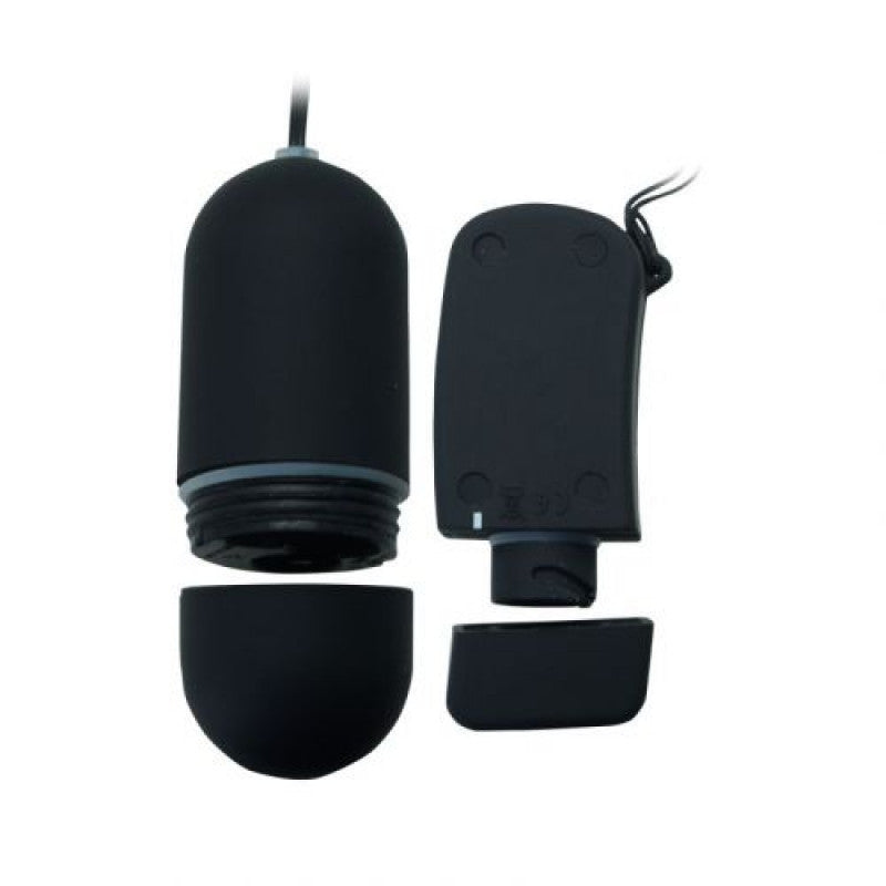 Ovetto vibrante Crystal Lover Deluxe con telecomando