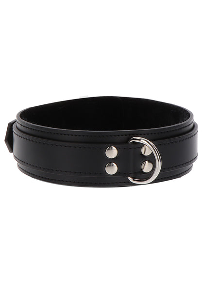 Collare Heavy D-Ring Collar