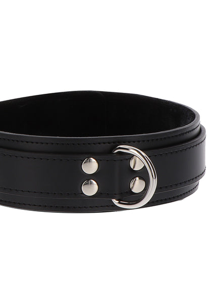 Collare Heavy D-Ring Collar