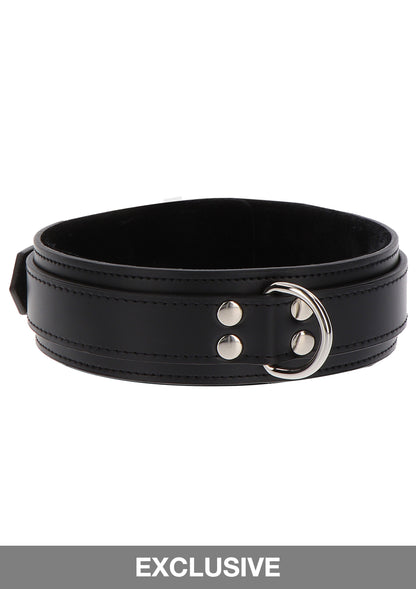 Collare Heavy D-Ring Collar