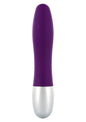 Vibratore classico piccolo Discretion Probe Vibrator purple