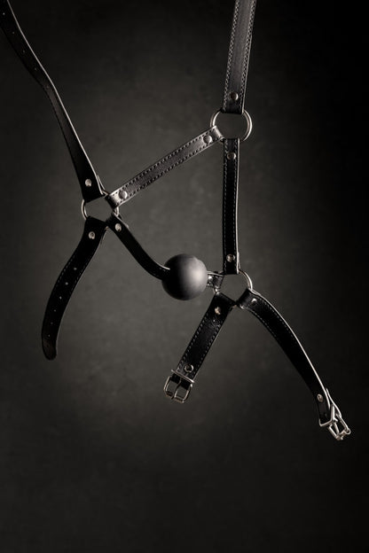 Imbracatura viso con morso Head Harness with Solid Ball Gag Black