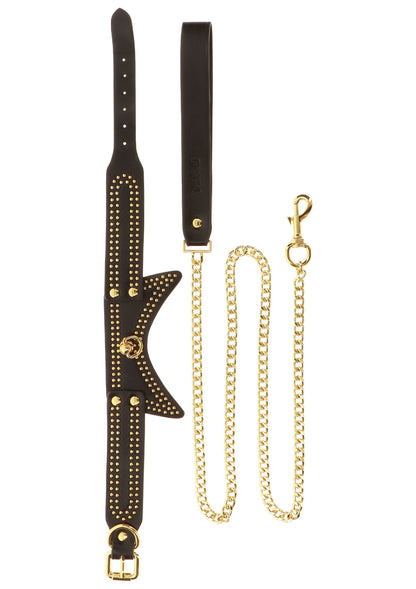 Collare con guinzaglio Studded Collar and Leash